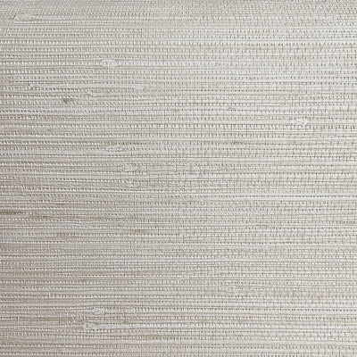 Grasscloth Faux Texture - Off-White Traditional Wallpaper TS80707