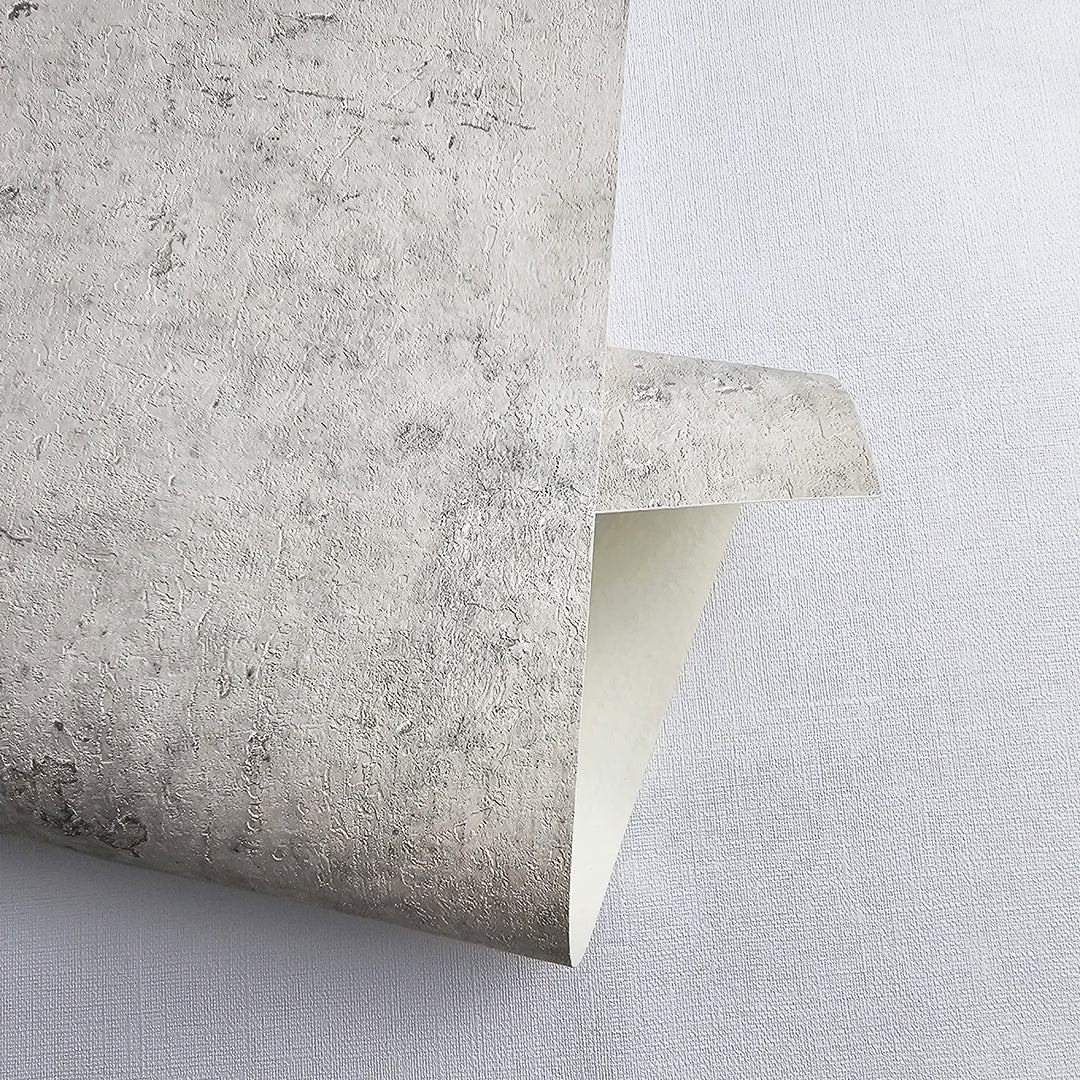 Cement Texture - Light Gray Traditional Wallpaper TS81208