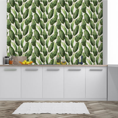Tropical Banana Leaves Wallpaper CC220