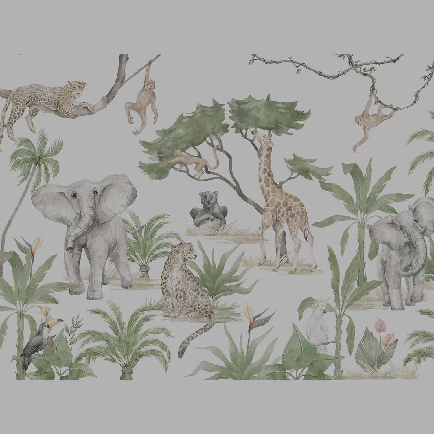 Safari & Jungle