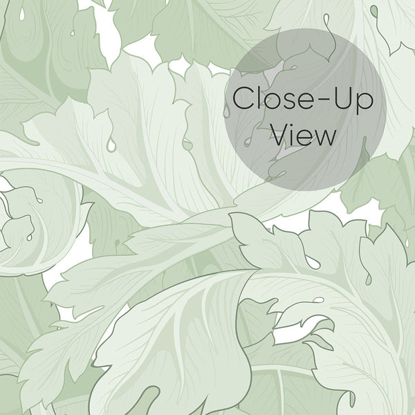 Green Acanthus by Morris Wallpaper W119 - CostaCover - Peel and stick Removable Wallpaper - abstract floral - abstract wallpaper - accent wallpaper
