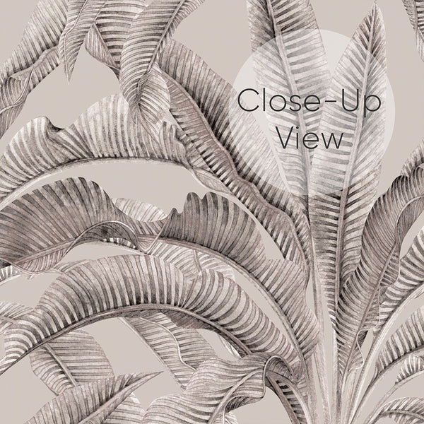 Neutral Gray Banana Leaf Wallpaper A139