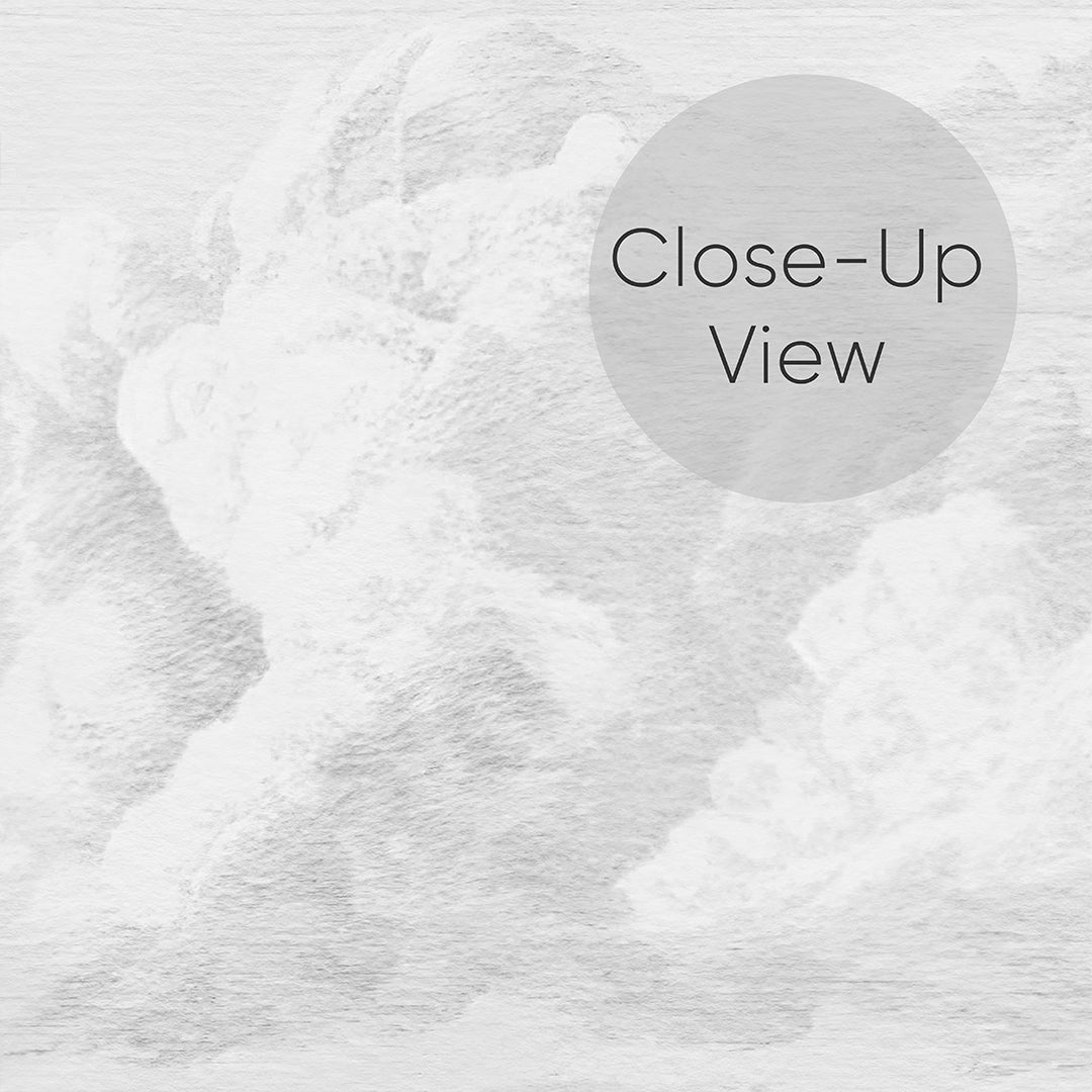 Gray Vintage Cloud Sky Wall Mural AM172