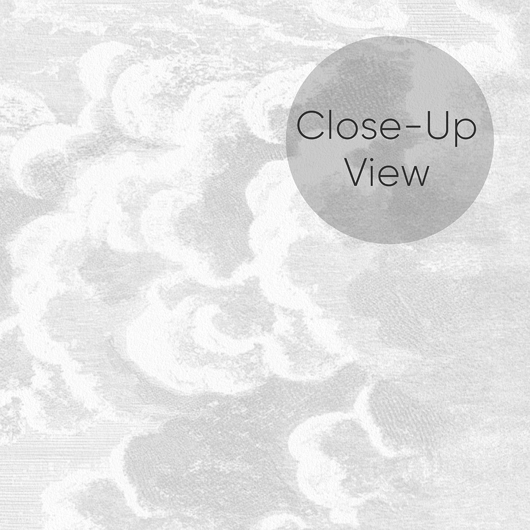 Gray Vintage Cloud Wall Mural AM169