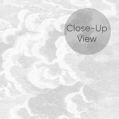 Gray Vintage Cloud Wall Mural AM169