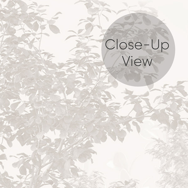 Nature-inspired wallpaper with panoramic tree layers, ideal as a calming feature wall in bedrooms or home offices.