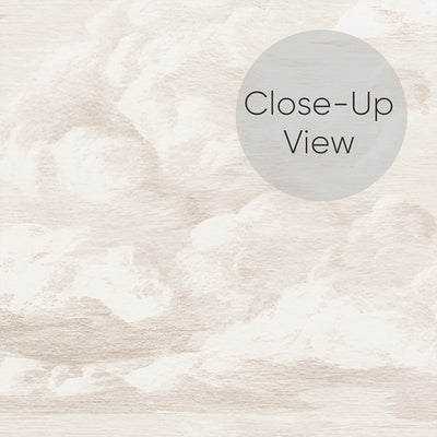Beige Vintage Cloud Sky Wall Mural AM174
