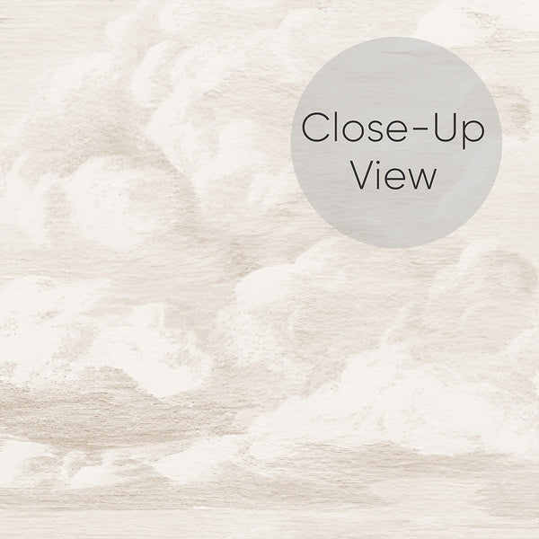 Beige Vintage Cloud Sky Wall Mural AM174