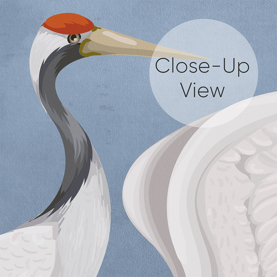 Blue Japanese Cranes Wall Mural WM111