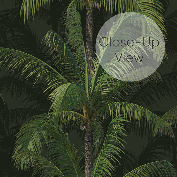 Dark Green Tropical Palm Wallpaper A137