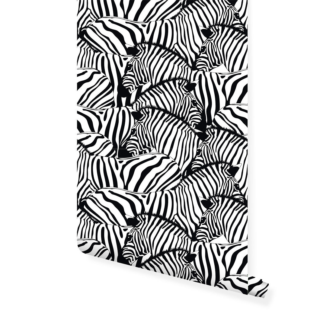 Black & White Zebras Wallpaper CC095