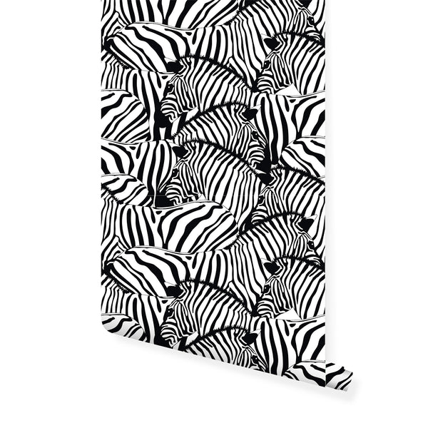 Black & White Zebras Wallpaper CC095 - CostaCover - Peel and stick Removable Wallpaper - Abstract - abstract wallpaper - adhesive wallpaper