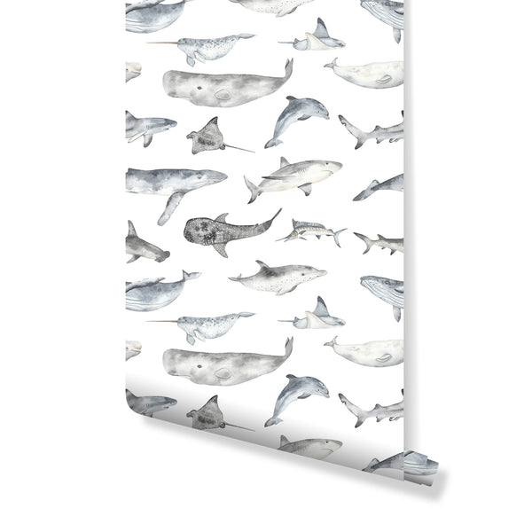 Ocean Fish Wallpaper with watercolor whales, dolphins, and sharks in smoky blues and slate greys on a white background. This coastal-themed wall mural adds a serene touch to nurseries and bathrooms, compatible with modern nautical decor. The removable peel and stick design is eco-friendly and easy to reposition, ideal for renters and designers.