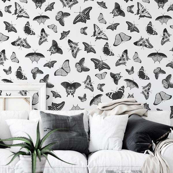 Black White Butterflies Wallpaper W158 - CostaCover - Peel and stick Removable Wallpaper - abstract wall art - abstract wallpaper - accent wallpaper