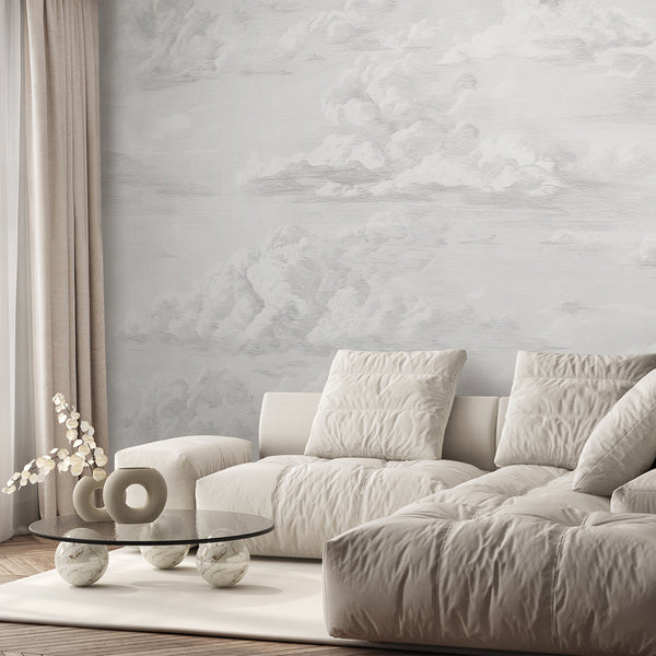 Gray Vintage Cloud Sky Wall Mural AM172
