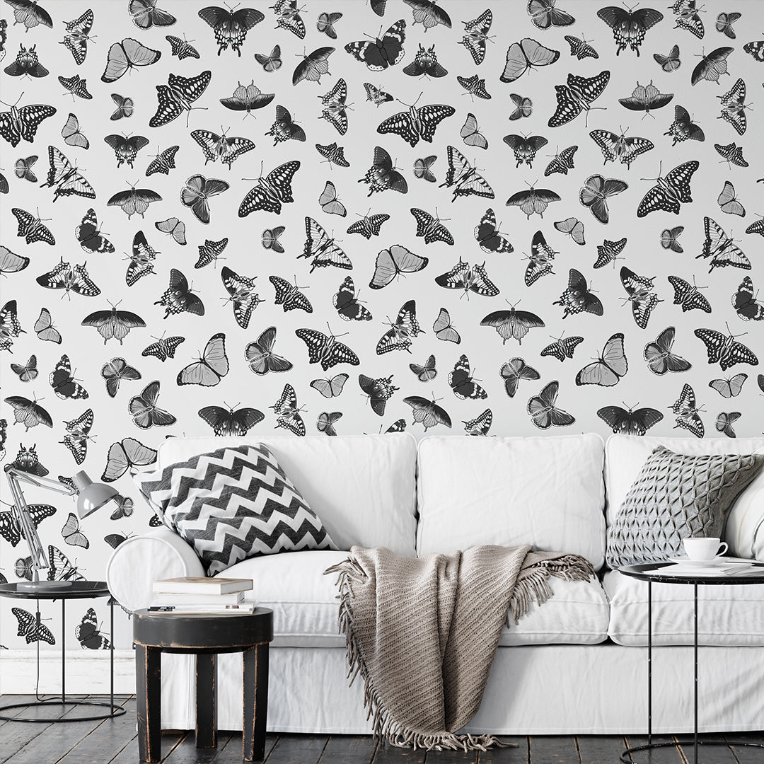 Black White Butterflies Wallpaper W158