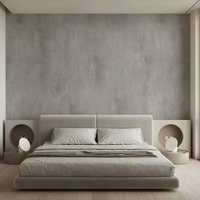 Gray Plaster Texture Wall Mural AM103