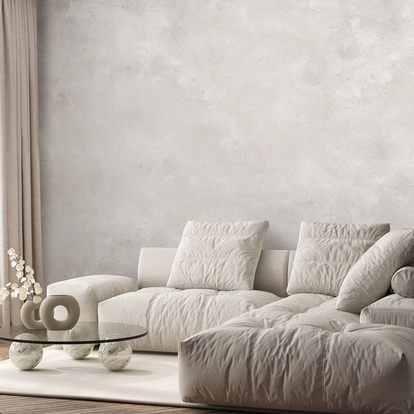 Light Gray Plaster Wall Mural AM069 - CostaCover - Peel and stick Removable Wallpaper - Abstract - abstract lines - abstract marble