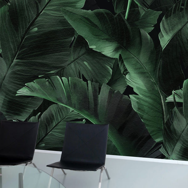 Dark Green Banana Leaves Wall Mural WM019 - CostaCover - Peel and stick Removable Wallpaper - banana leaves - Banana leaves wallpaper - bathroom wallpaper