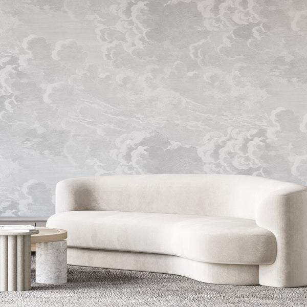 Gray Vintage Cloud Wall Mural AM169