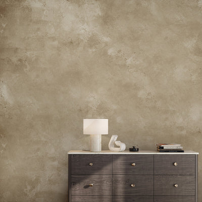 Limewash Plaster Wall Mural AM087