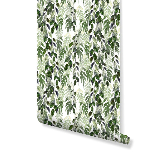 Hanging Vines Leaves Wallpaper CC208 - CostaCover - Peel and stick Removable Wallpaper - Abstract - abstract wallpaper - adhesive wallpaper