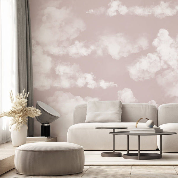 Pastel Pink Sky & Clouds Wall Mural AM022 - CostaCover - Peel and stick Removable Wallpaper - about walls - Abstract - abstract lines