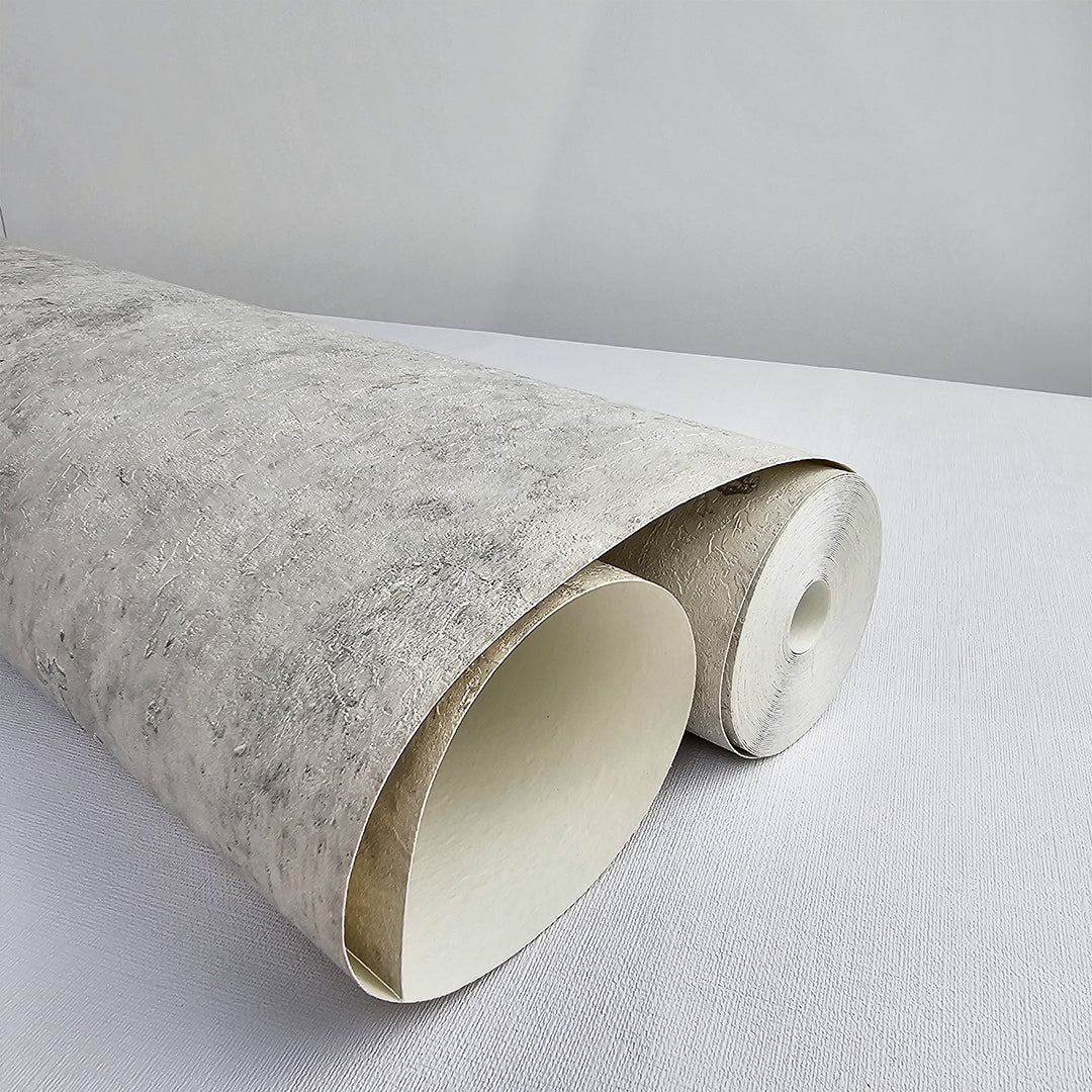 Cement Texture - Light Gray Traditional Wallpaper TS81208