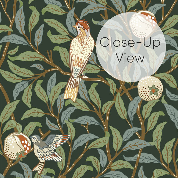 Green Bird & Pomegranate by Morris Wallpaper W087 - CostaCover - Peel and stick Removable Wallpaper - abstract wall art - abstract wallpaper - accent wallpaper