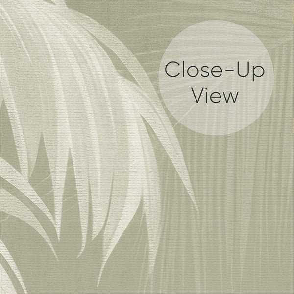 Close up of Muted green botanical wallpaper with elegant palm trees, feathery fronds and softly layered tropical foliage on a sage green background.