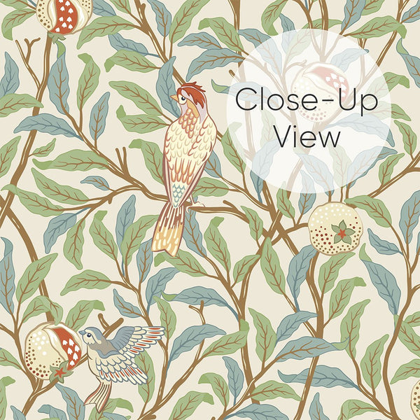 Green Bird & Pomegranate by Morris Wallpaper W084 - CostaCover - Peel and stick Removable Wallpaper - abstract floral - abstract wall art - abstract wallpaper