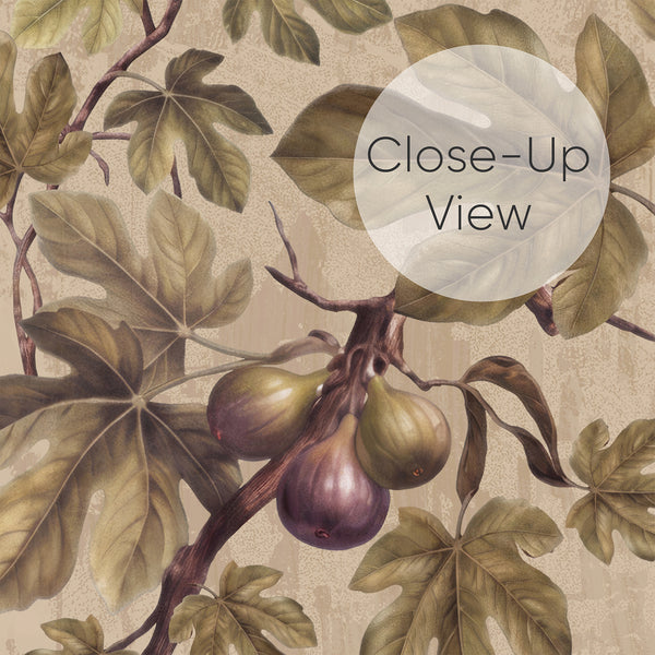 Close up of antique botanical peel and stick wallpaper featuring clusters of purple figs and softly shaded green leaves on a textured beige background for bedrooms.
