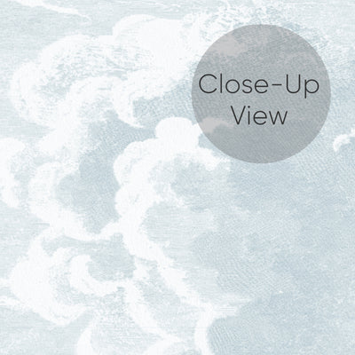 Blue Vintage Cloud Wall Mural AM170