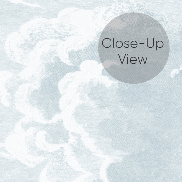 Blue Vintage Cloud Wall Mural AM170