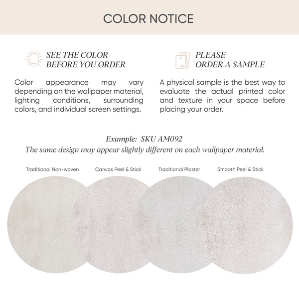 Beige Plaster Limewash Wall Mural AM092