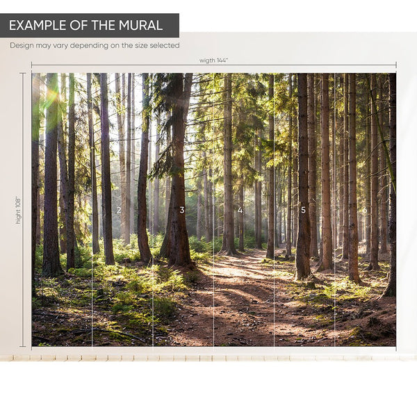 Sunny Forest Wall Mural CCM031 - CostaCover - Peel and stick Removable Wallpaper - accent wallpaper - adhesive wallpaper - bedroom interior