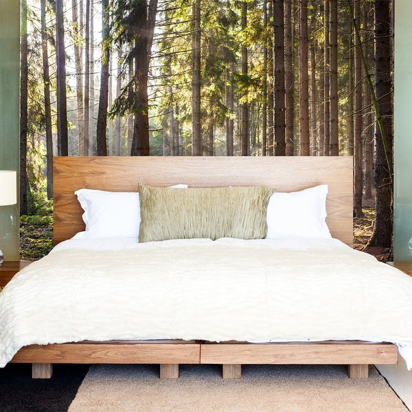 Sunny Forest Wall Mural CCM031 - CostaCover - Peel and stick Removable Wallpaper - accent wallpaper - adhesive wallpaper - bedroom interior