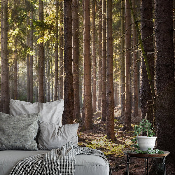 Sunny Forest Wall Mural CCM031 - CostaCover - Peel and stick Removable Wallpaper - accent wallpaper - adhesive wallpaper - bedroom interior