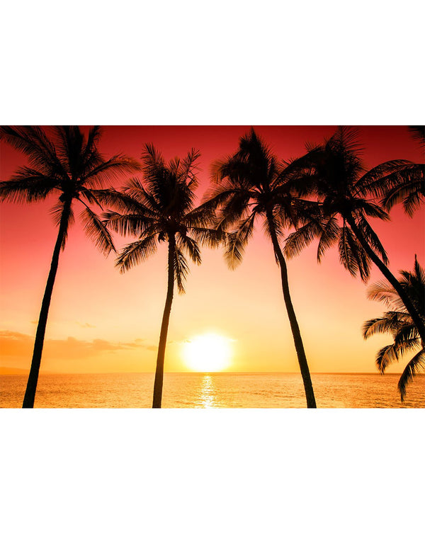 Ocean Beach & Sunset Wall Mural CCM003 - CostaCover - Peel and stick Removable Wallpaper - accent wallpaper - adhesive wallpaper - bathroom wallpaper