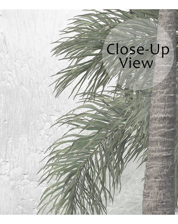 Mystic Jungle Tropical Wall Mural CCM087 - CostaCover - Peel and stick Removable Wallpaper - accent wallpaper - adhesive wallpaper - adhesive wallpaper design