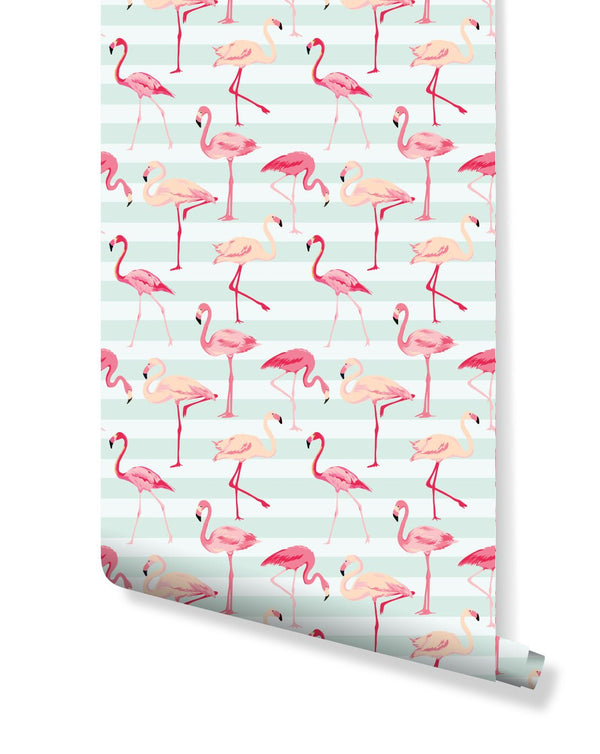 Tropical Pink Flamingos Wallpaper CC039 - CostaCover - Peel and stick Removable Wallpaper - animal print - Animal print wallpaper - bathroom wallpaper