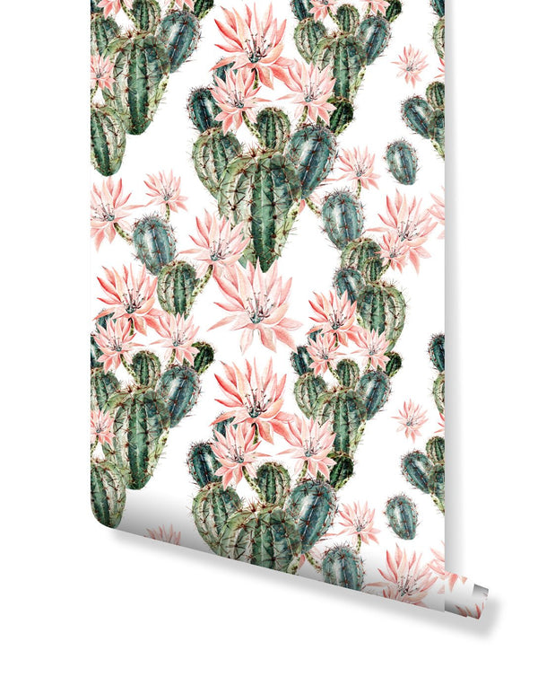 Watercolor Blooming Cactus Wallpaper CC052 - CostaCover - Peel and stick Removable Wallpaper - baby wall decor - bathroom wallpaper - bedroom interior