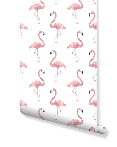 Peel and Stick Removable Wallpaper Watercolor Exotic Pink Flamingo Tropical Wall Covering Self Adhesive Vinyl CC106