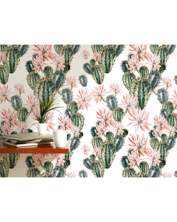 Watercolor Blooming Cactus Wallpaper CC052 - CostaCover - Peel and stick Removable Wallpaper - baby wall decor - bathroom wallpaper - bedroom interior