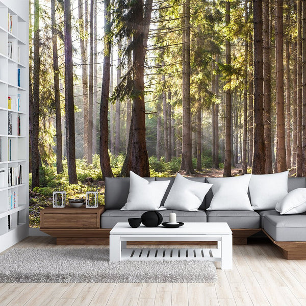 Sunny Forest Wall Mural CCM031 - CostaCover - Peel and stick Removable Wallpaper - accent wallpaper - adhesive wallpaper - bedroom interior